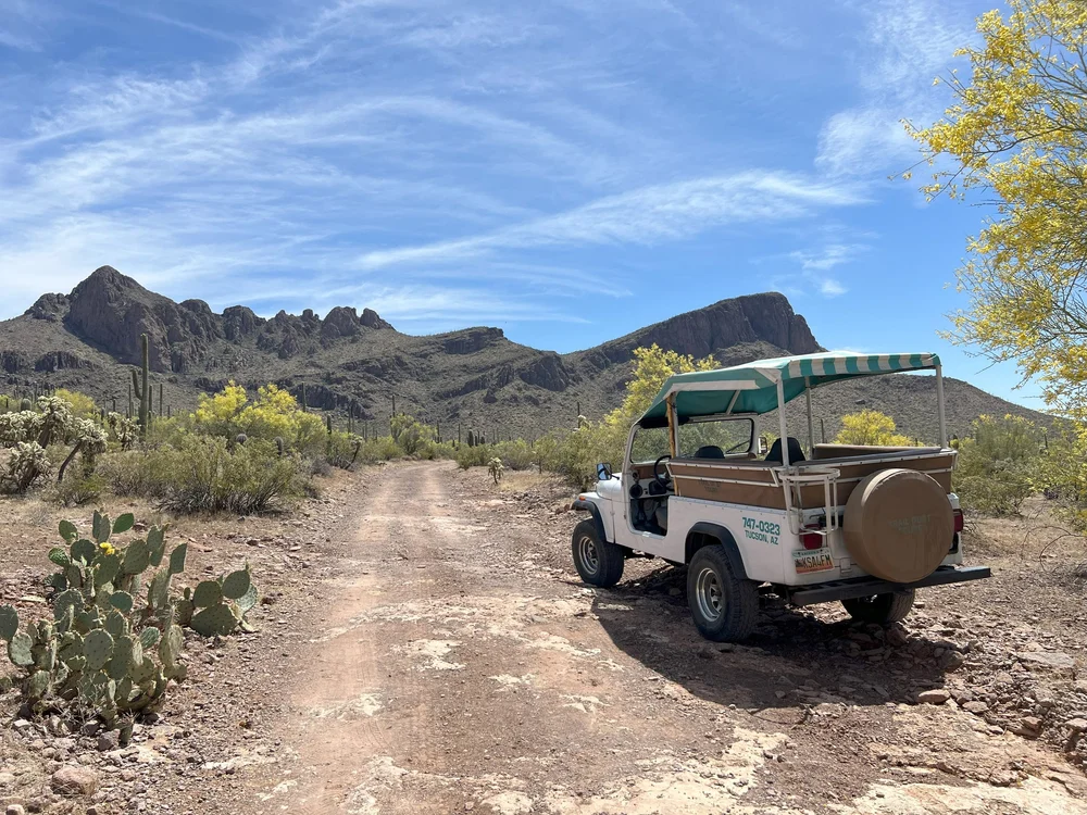 Desert Ecology Jeep Tour – White Stallion Trail (NW Tucson